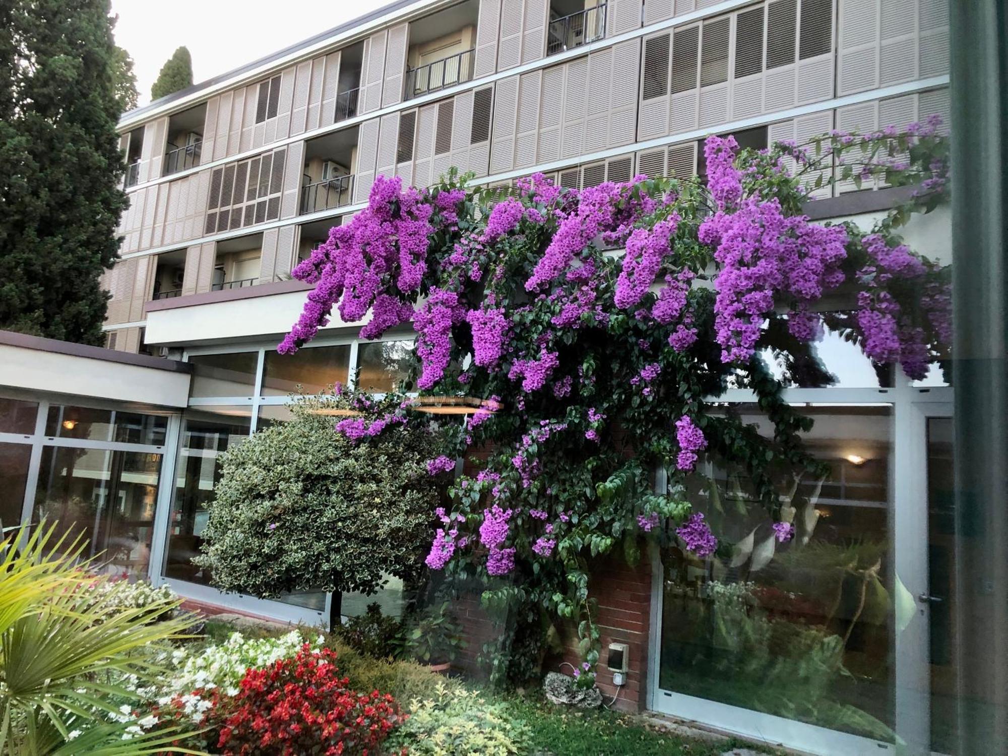 Residence Villa Alba Gardone Riviera Exteriér fotografie